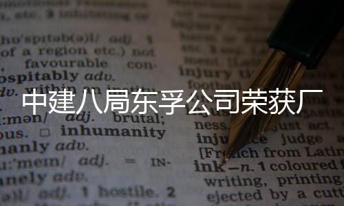 八局民主荣获荣誉2项厂务东孚公司公开管理中建